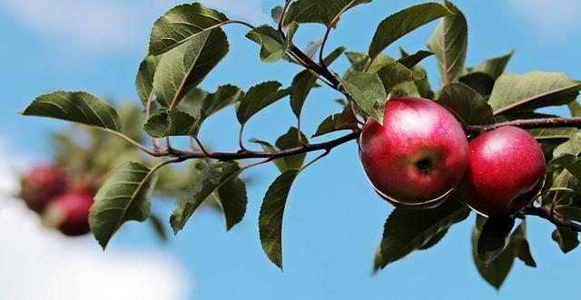 Příběhy z zákulisí: Jak se rodily ikonické produkty Apple