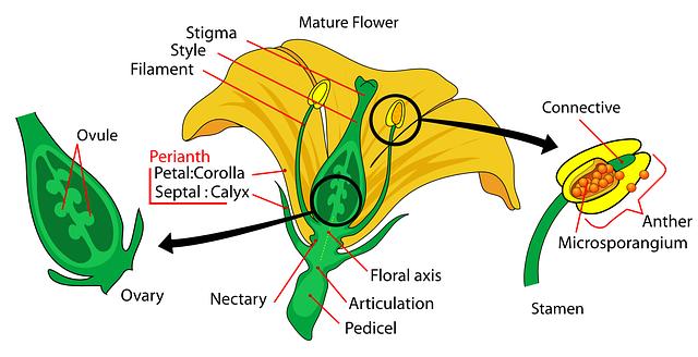 Klíčové prvky diagramu ⁤pro vizualizaci času