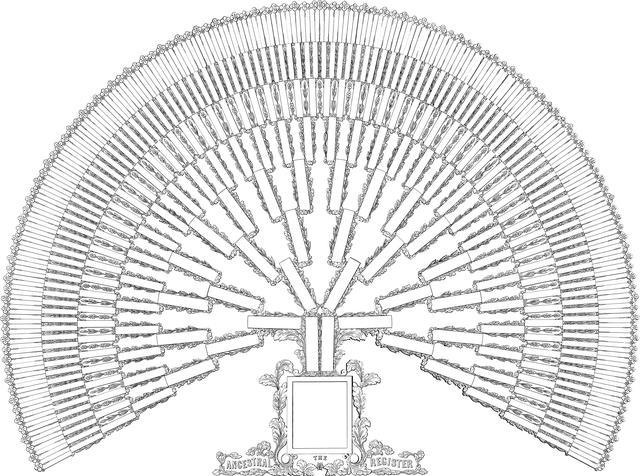 Genealogie a rodinné vztahy: Pochopení našich kořenů