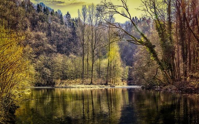 Klíčové druhy: Fauna rybníka a jejich charakteristiky