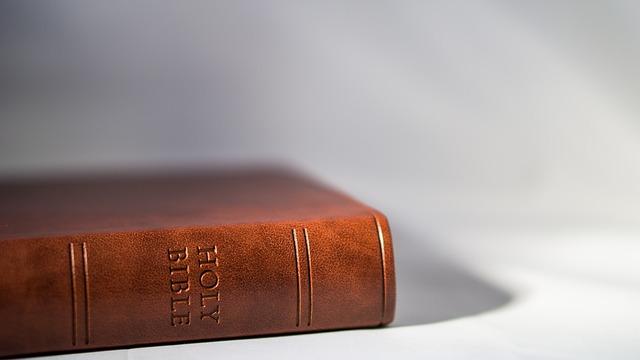 Kniha Bible Vagíny: Co Každá Žena Potřebuje Vědět