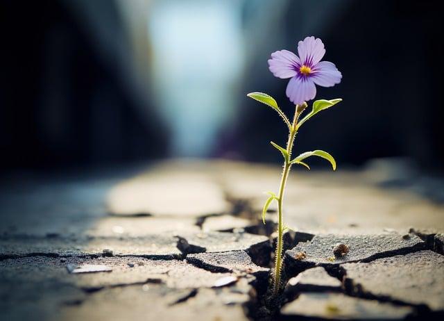 Důležitost resilience a vytrvalosti